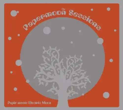 Papir meets electric - moon,
